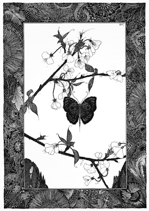 They bloomed to-day, to fall off to-morrow.