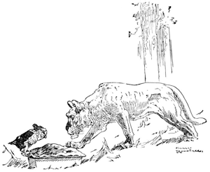 The Owl and the Panther were sharing a pie.
