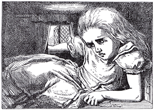 Stuck in the White Rabbit's house.
