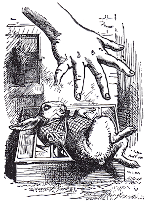 Alice reaches for the White Rabbit.