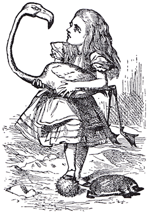 Alice and the Flamingo.