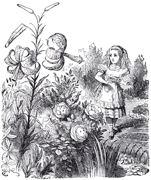 The Talking Flowers