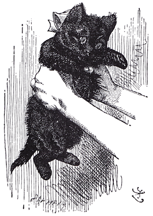 Alice shaking the kitten