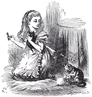 Alice looking at the cats