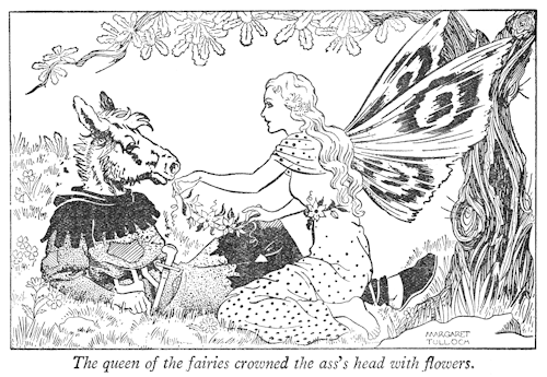 Illustration from Midsummer Night's Dream